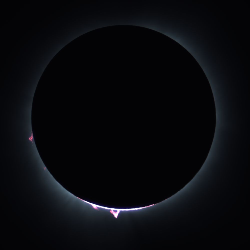 Prominences on the sun during the April 8, 2024 Total Solar Eclipse